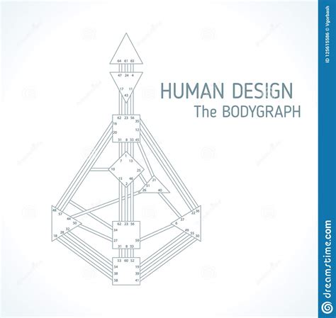 Human Design Bodygraph Chart Design Vector Illustratio