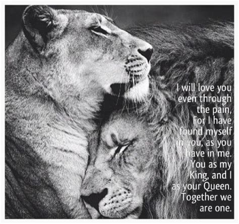 Pin By Joey On Relationship Lion Love Female Lion Lion Quotes