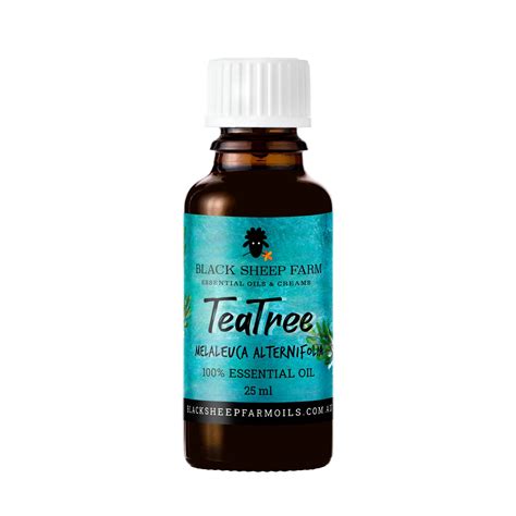 Tea Tree Essential Oil Melaleuca Alternifolia Black Sheep Farm Oils
