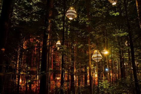 Lighting In The Not So Deep Dark Forest Designcurial