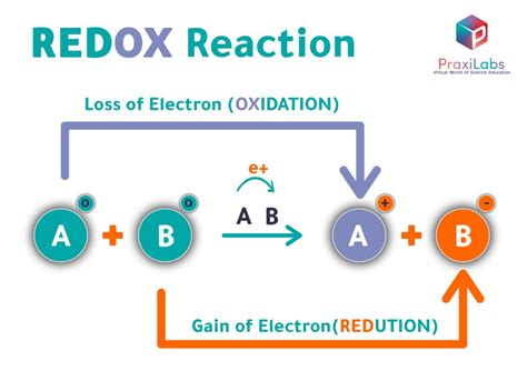 Oxidation And Reduction Reactions With Examples Praxilabs