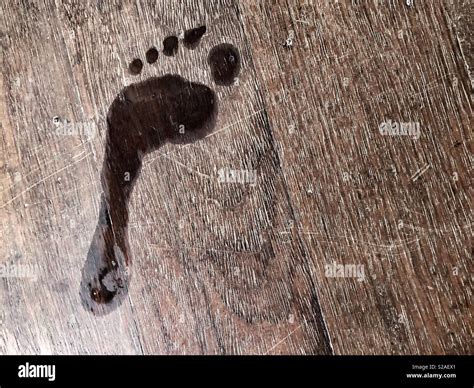 Wet Footprint On A Wooden Floor Stock Photo Alamy