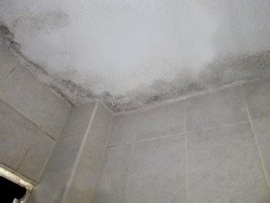 If you have a working bath fan, i recommend installing a programmable timer switch. Kill Black Mould - How to Clean Mould & Stop Mould Growing