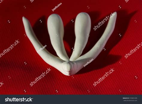 D Printed Female Sex Organ Clitoris Stock Photo Shutterstock