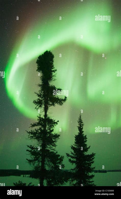 Aurora Borealis Or Northern Lights Northwest Territories Canada Stock