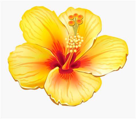 Hawaiian Flowers Clipart Realistic Yellow Tropical Flower Png Free Transparent Clipart