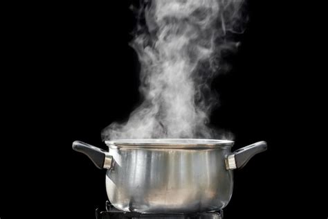 ¿por cuánto tiempo debo cocinar la espinaca al vapor? Consejos útiles para cocinar al vapor - Cocina y Vino