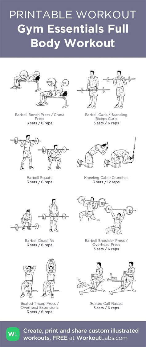 Gym Essentials Full Body Workout Illustrated Exercise