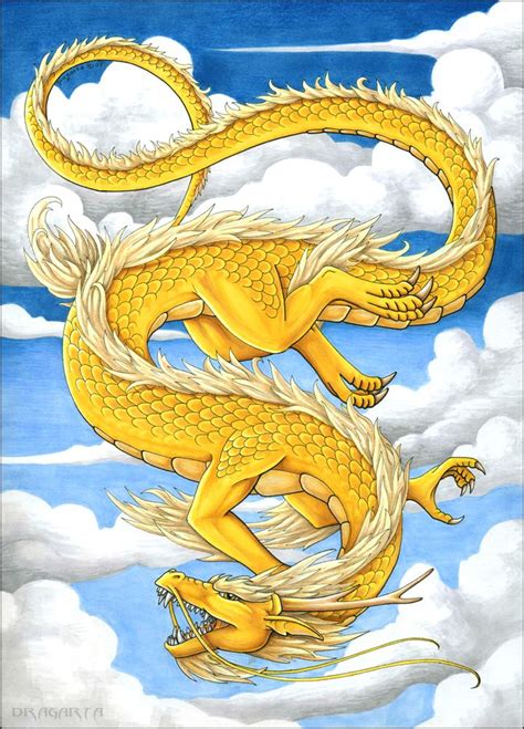 Yellow Dragon Asian Dragon Chinese