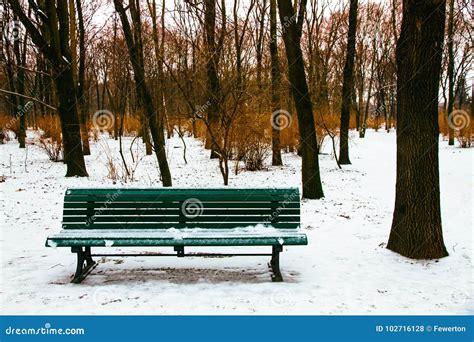 Park Bench And Surrounding Trees Covered By Snow During Winter Season