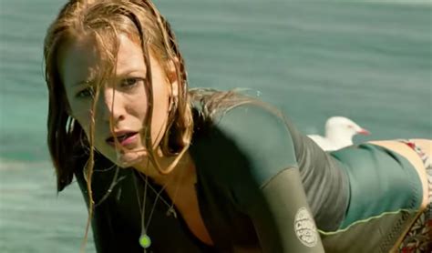 That Moment In The Shallows 2016 The Shark And The Seagull And What It All Means That