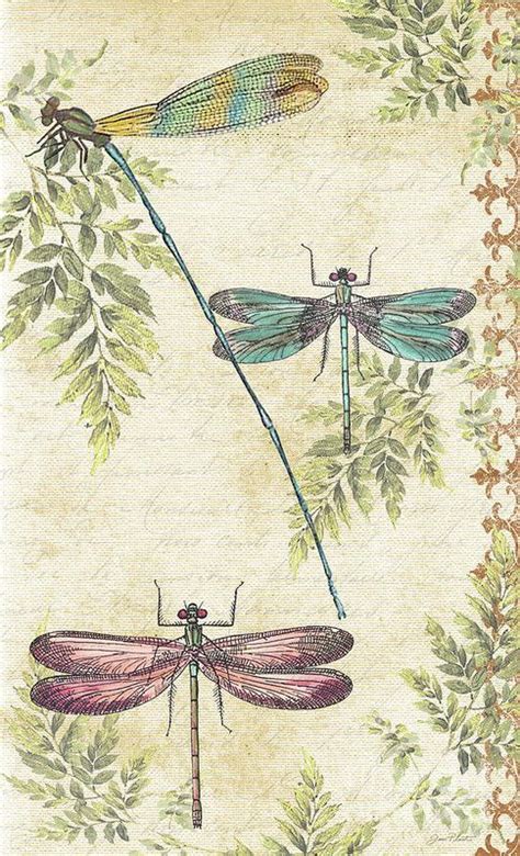 Dragonflies In The Summertime Jp2325 Art Print By Jean Plout