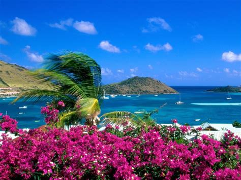 fondos de pantalla de Playa Caribe. wallpapers de Playa Caribe