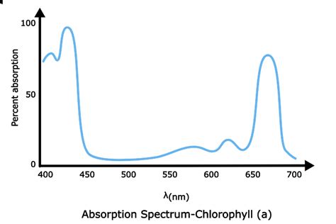 Uv Vis Spectroscopy Principle Instrumentation And Applications