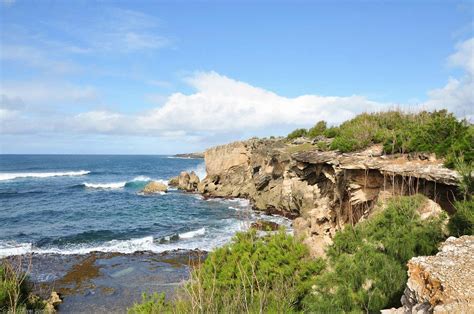 Ask anything you want to learn about oliver sommer by getting answers on askfm. Hawaii Naturfotografie - Oliver Sommer