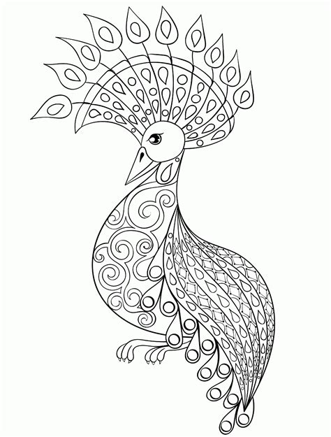 Beauty peacock coloring page for adult. Cool Coloring Pages For Adults Peacock - Coloring Home