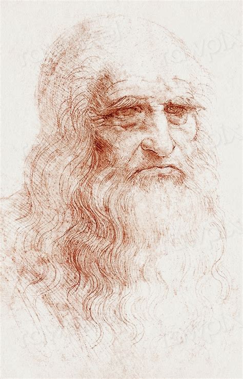 Leonardo Da Vinci S Self Portrait Free Photo Illustration