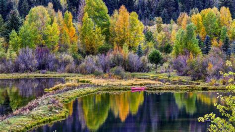 Purple Green Yellow Autumn Spring Trees Reflection On River Hd Nature