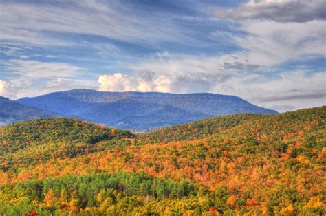 Best Time To See West Virginia Fall Foliage 2024 When To See Rove Me
