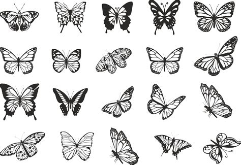 Flying Butterflies Vector Set Free Vector Cdr Download