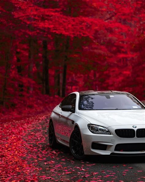 Autumn Bmw Wallpapers Wallpaper Cave
