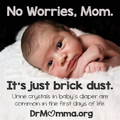 Peaceful Parenting Brick Dust Urine Crystals In Babys Diaper