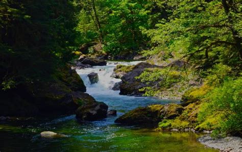 Sol Duc River Stock Photos Pictures And Royalty Free Images Istock