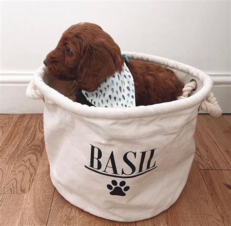 Personalised Dog Child Toy Basket Dog Toy Storage Etsy