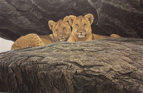 Art Country Canada Robert Bateman Lion Cubs Limited Edition Print