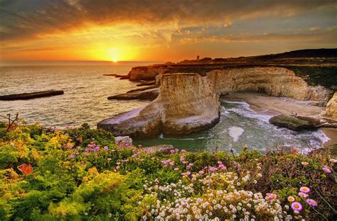 Download Big Sur California Horizon Beach Cliff Flower Sea Ocean Sunset