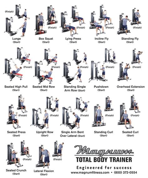 Total Body Gym Workout Chart Workout Chart Multi Gym