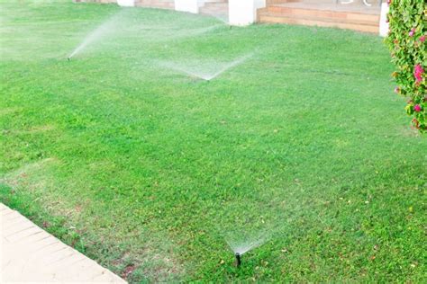 Can You Overwater Grass Signs That Youre Overwatering Your Lawn