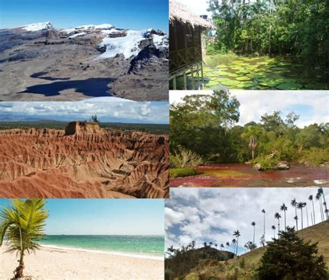 Ecosistemas De Colombia Tierra Colombiana Ecosistemas Tipos De Porn