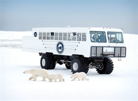 Tundra Buggy Lodge Enthusiast Churchill The Great Canadian Travel Co
