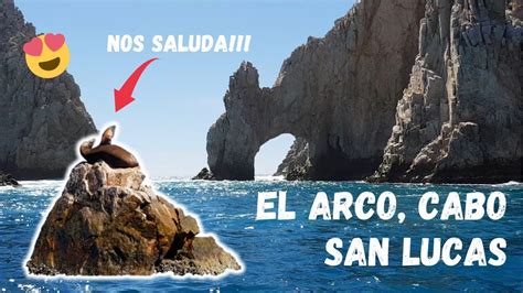 El Arco Los Cabos Bcs ¡dos Mares Se Unen ¡recorriendo El Mar De