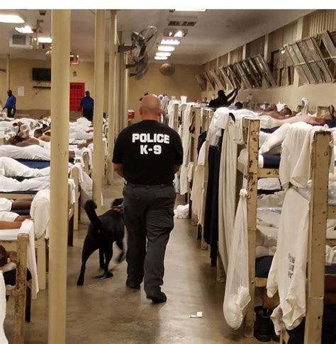 Contraband Search at Atmore Prison Yields Big Results - Alabama News