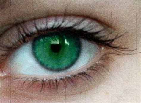 Green Eye Eyes Aesthetic Eye Aesthetic Aesthetic Eyes