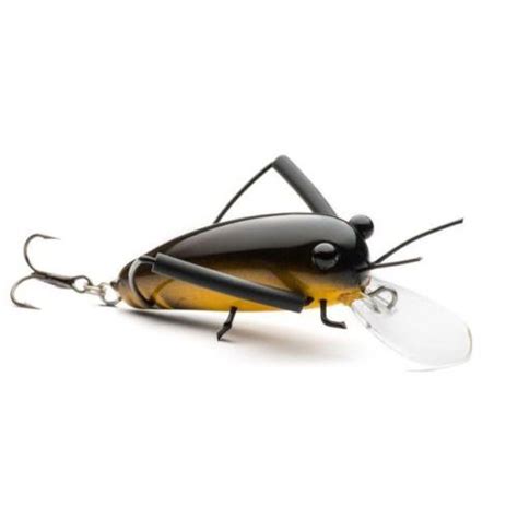 Dm Cricket Lures Big Wooden Black Yellow Finish Tackle