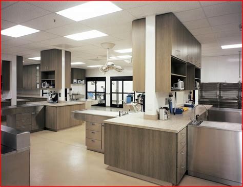 At healthy pet veterinary clinic, we treat your pets like you treat your pets, with love and compassion. Pin by Autumn Davis on Veterinarian | Hospital design ...