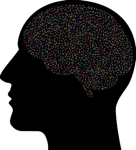 Brain Psychology Mind Free Vector Graphic On Pixabay