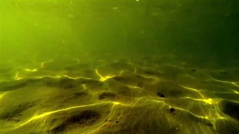 441 Underwater View Of The Lake And Its Lake Bed Youtube