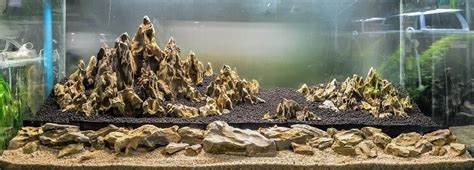 Reef saver nano shelf rock has a elongated,… Aquascaping Your Aquarium: Complete Guide To Planted ...