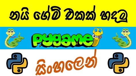 නයි ගේම් එකක් පයිතන් වලින් හදමු Snake Game In Sinhala Using Python