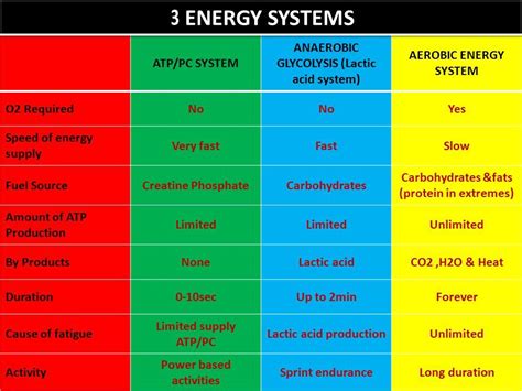 Pin By Ben Scff On Energy System Energy System Exercise Physiology