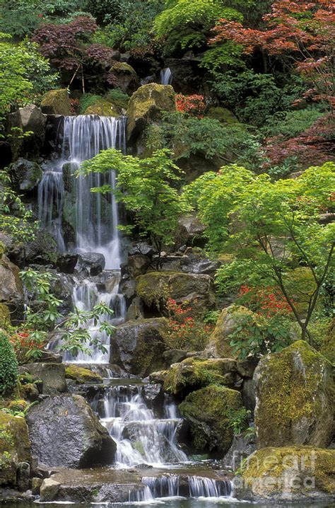 Japanese Garden Waterfall Photograph By Sandra Bronstein Pixels