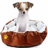 Fleece Beds For Dogs Images