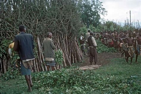 Making The Inhlambelo Incwala 1970 First Fruits Ceremony