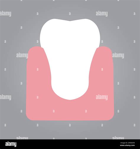 Illustration Of Teeth With Gum Vector Design Stock Vector Image And Art