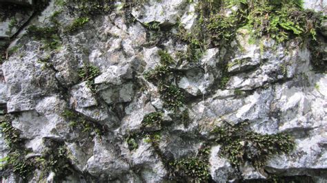 Free Photo Mossy Rocks Texture Backdrop Shapes Photo Free