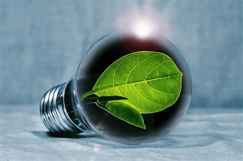 Energia Sostenibile Cosè E Quali Sono Le Fonti Energetiche